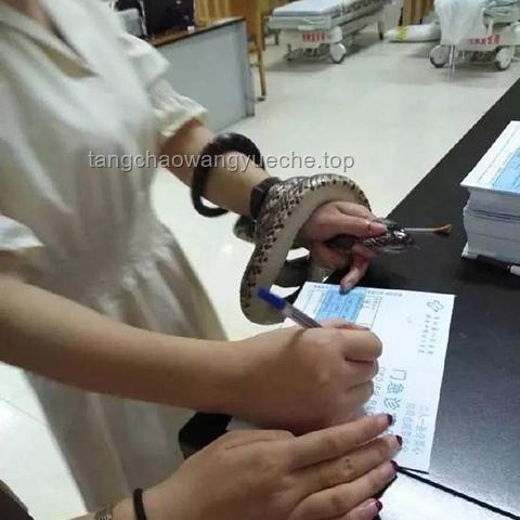 医院不常备抗蛇毒血清的背后真相🐍💉
